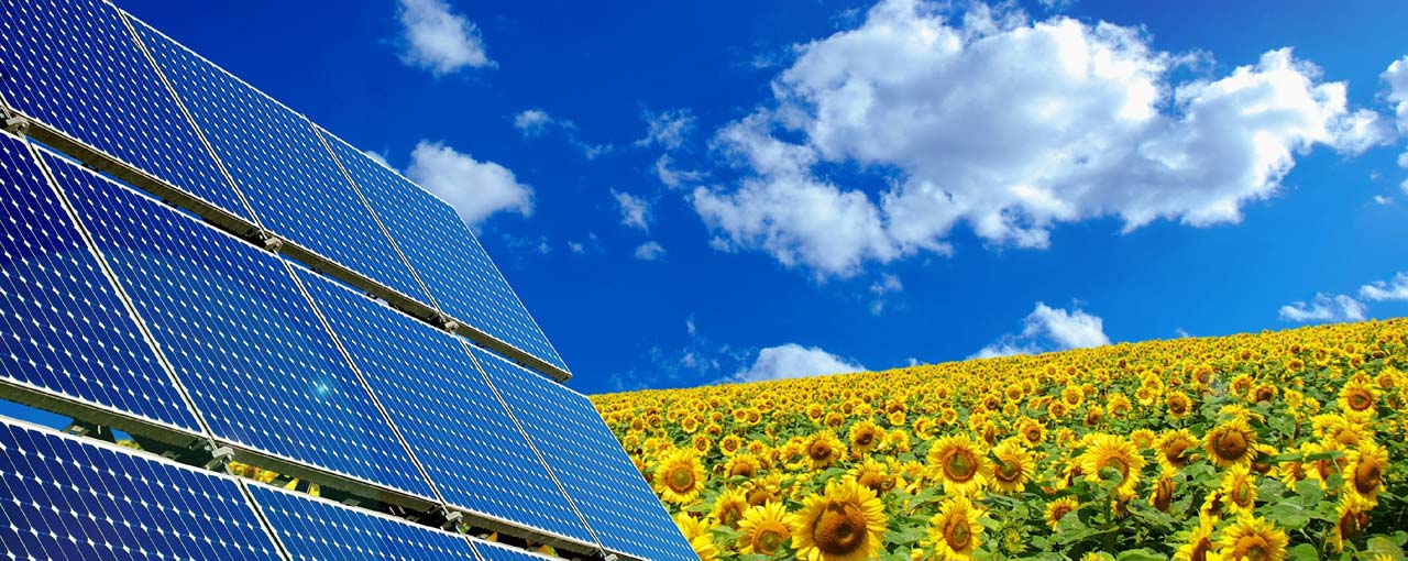 Solar panel in a field